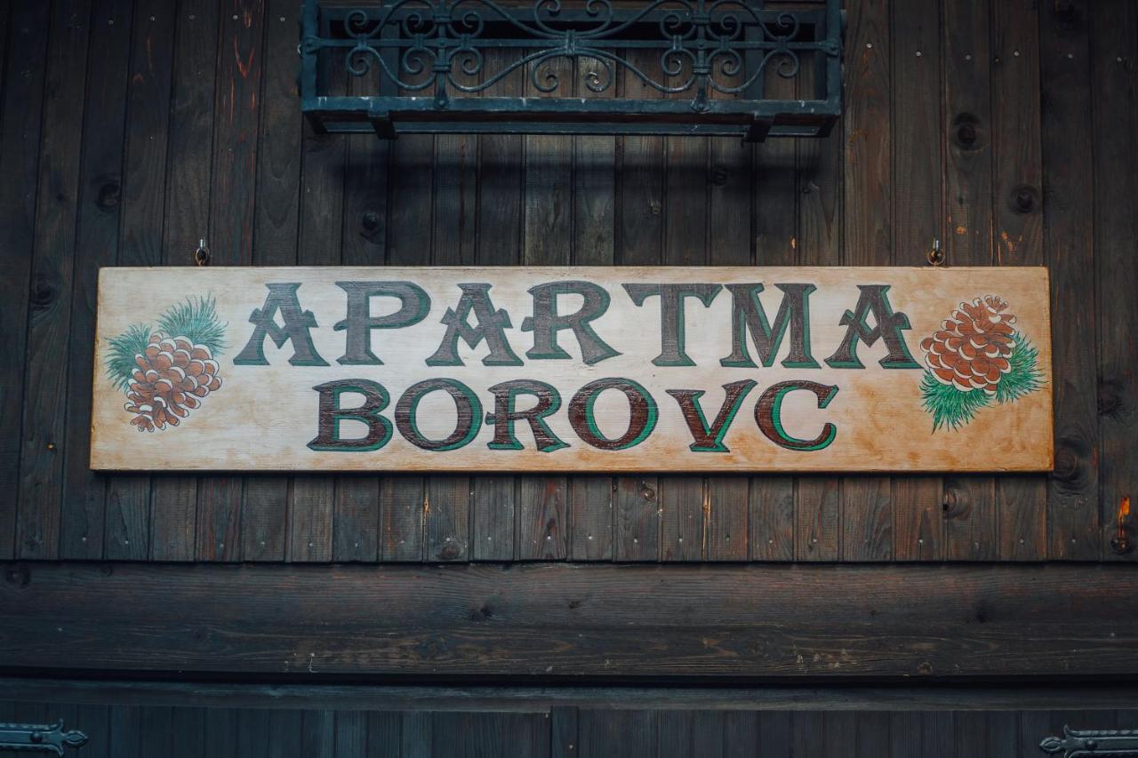 Apartma Borovc 莫斯特拉纳 外观 照片